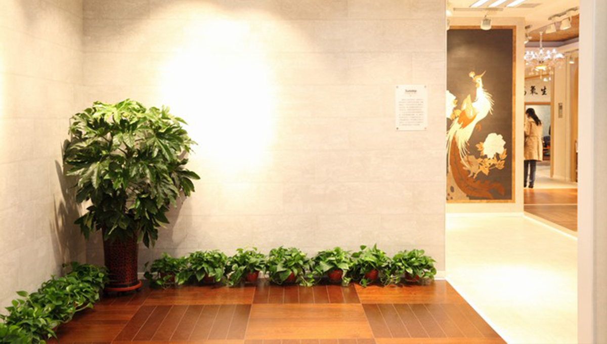 創(chuàng)新發(fā)展，永不止步 4