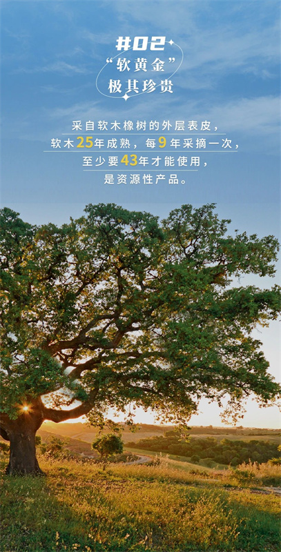 無(wú)懼挑剔眼光，裝飾材料的天花板！ image4